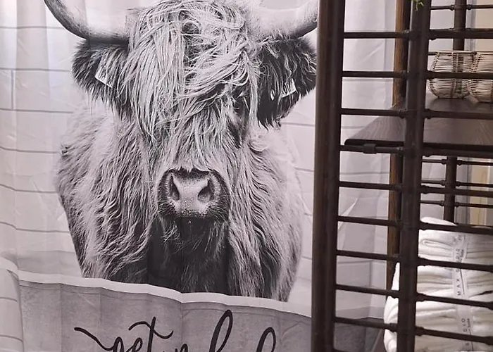 Saloon Greenhorn شقة إنسبروك