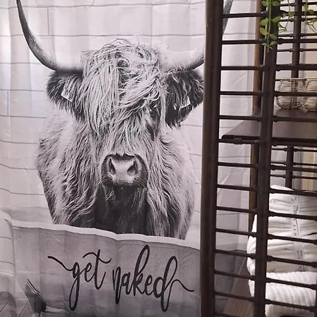 Saloon Greenhorn Apartman Innsbruck